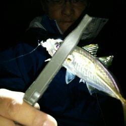 0.3gの差で釣果にも差が出るアジング