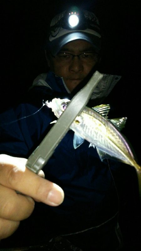 0.3gの差で釣果にも差が出るアジング