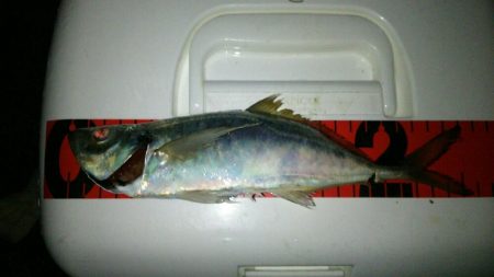 台風前の淡路島♪