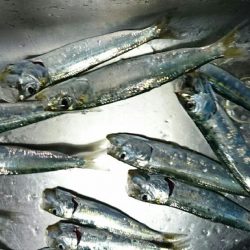 実は引っ越しました