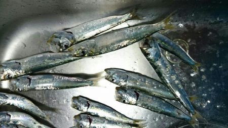 実は引っ越しました