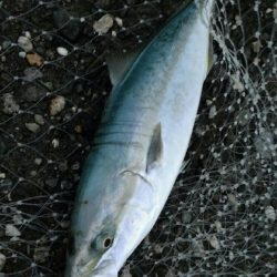 台風が来る前に