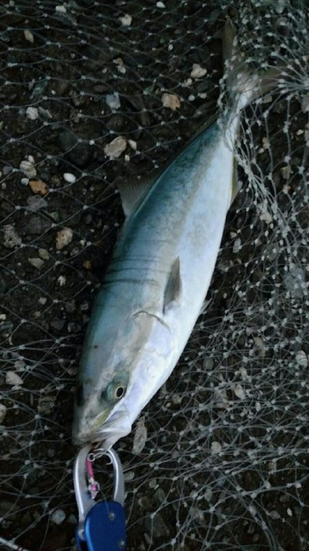 台風が来る前に
