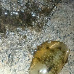 キープサイズが…