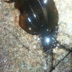 キープでけた。