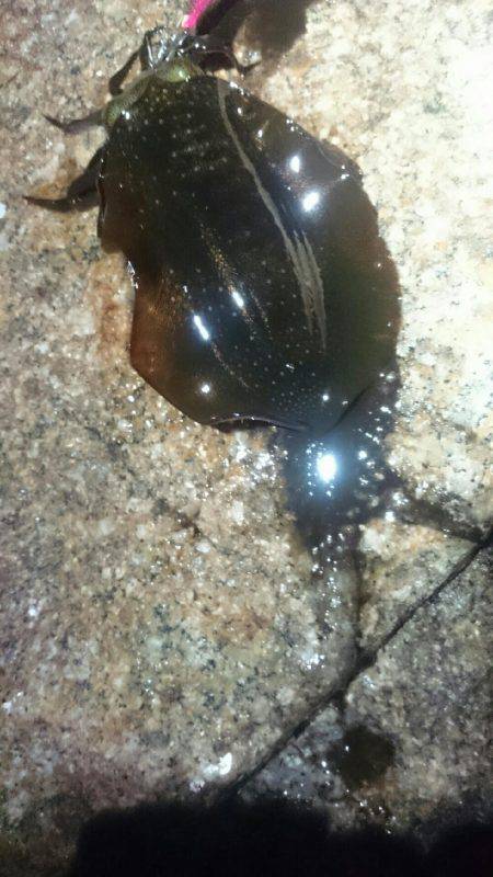 キープでけた。