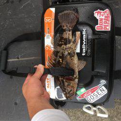 エギング、ジギングからの