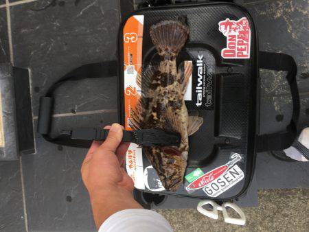 エギング、ジギングからの