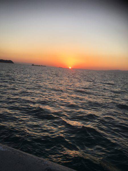 ジグパラにタコ