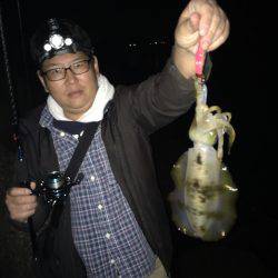 アオリイカゲームとタチウオゲーム