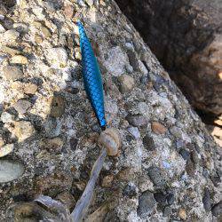 初 日本海 釣果