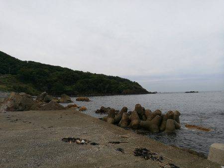 アオリイカ調査