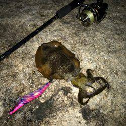 ユウマヅメ１時間勝負