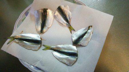 サビキでサッパ