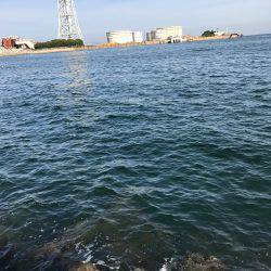 久しぶりの深日港