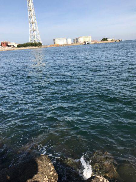 久しぶりの深日港