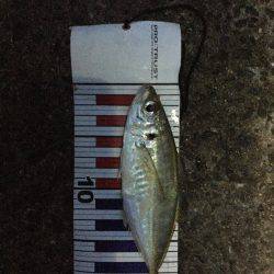 アジのち太刀魚