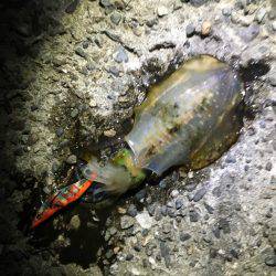 スレています。