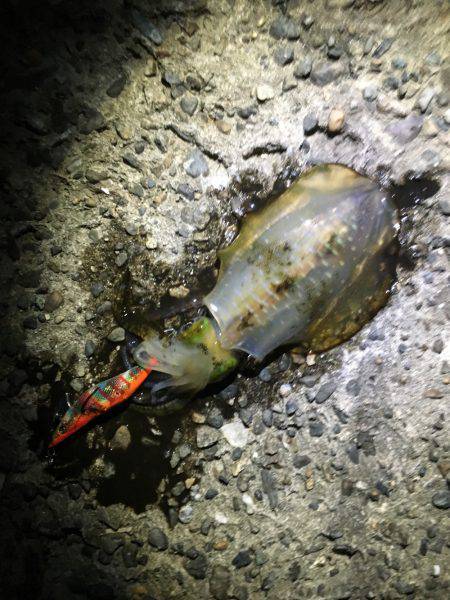 スレています。