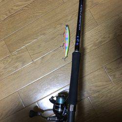 雨で激シブ?とりあえずサゴシ