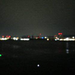 神戸ポートアイランドタチウオ