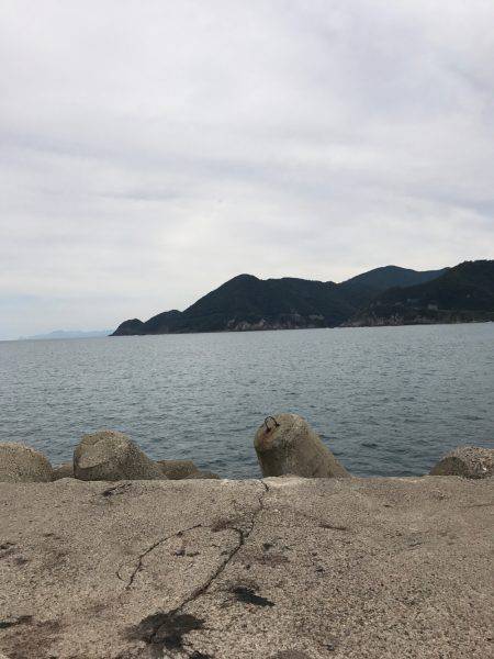 但馬方面から宮津方面までランガンエギング