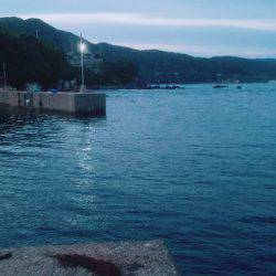 朝一のエギング