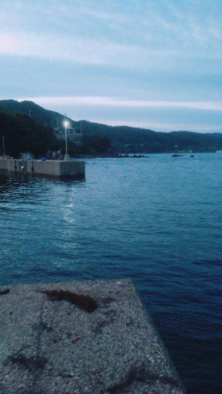 朝一のエギング