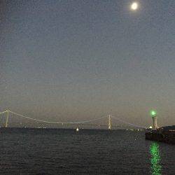 太刀魚、剣先イカ