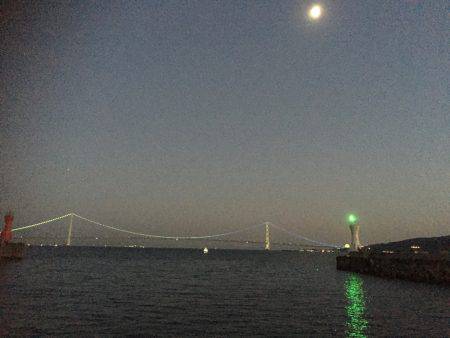 太刀魚、剣先イカ