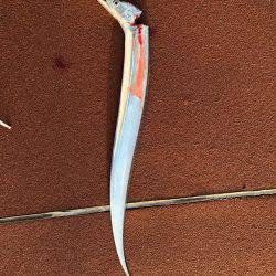 夕まずめチャレンジ(^^)