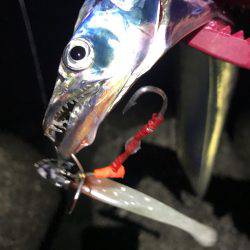 渋い、昨日の雨の影響かな？