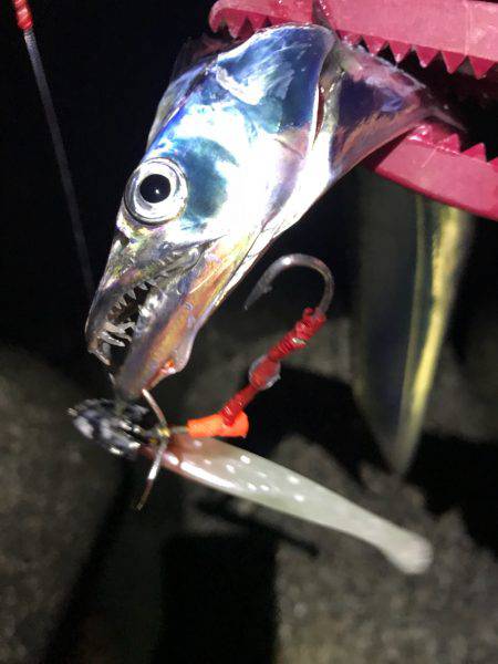 渋い、昨日の雨の影響かな？