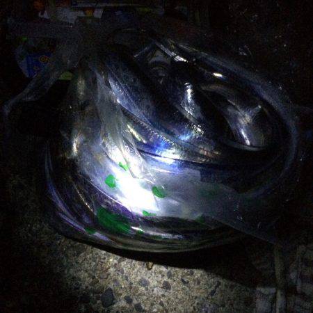 爆釣でした(^ ^)