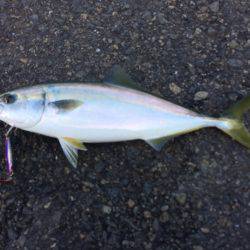 午前からの午後補講