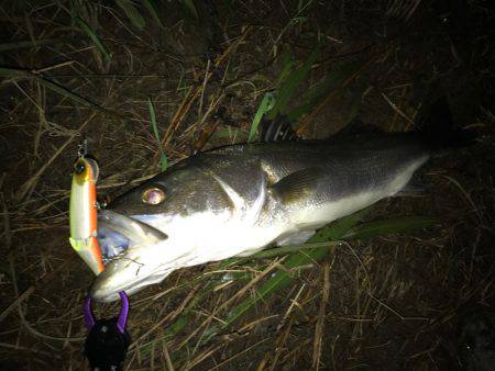 ジョイントルアー