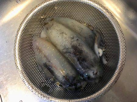 明石周辺エギング