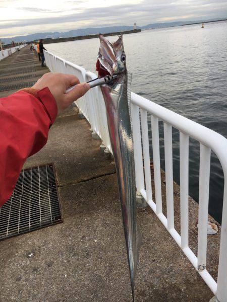 太刀魚エサ釣り