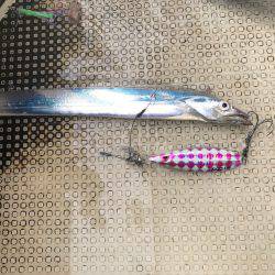 太刀魚  大潮  リタックル