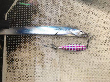 太刀魚  大潮  リタックル