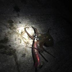 大潮、満月❗️