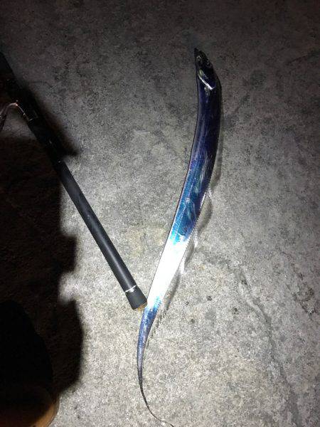 なかなか渋め…。