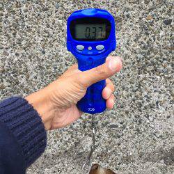 デジタルスケール買っちゃった☆