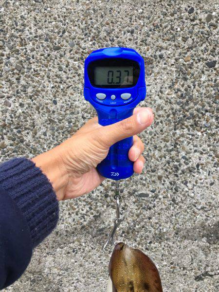 デジタルスケール買っちゃった☆