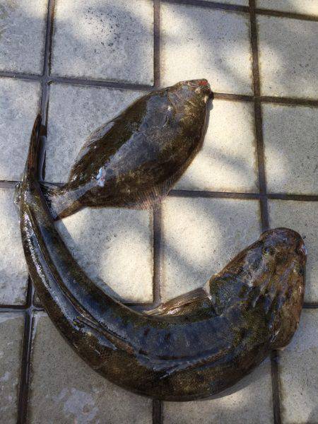 ビギナーズラック