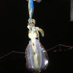 僕には難しかった。