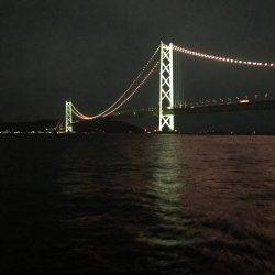 エギングしてたら今夜はタコ