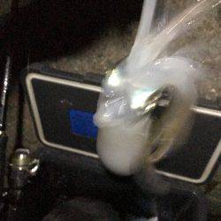 アオリでええやんか(｡-_-｡)