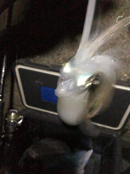 アオリでええやんか(｡-_-｡)