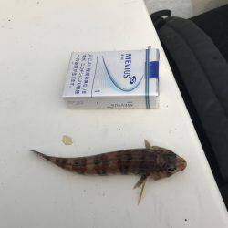 ボートで五目釣り！